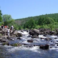 Three Pond Gorge